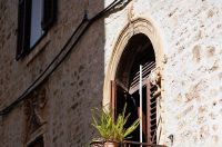 Đir po gradu, 22. rujna 2025 (5)