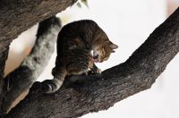 Đir po gradu, 29. rujna 2025 (29)