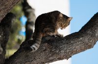 Đir po gradu, 29. rujna 2025 (30)