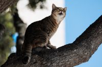 Đir po gradu, 29. rujna 2025 (31)