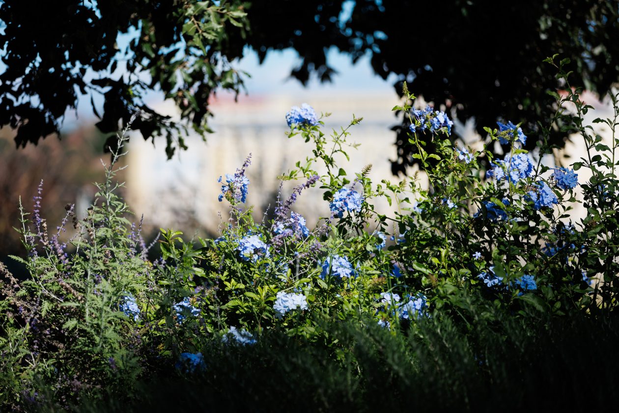 Đir po gradu, 29. rujna 2025 (34)