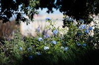 Đir po gradu, 29. rujna 2025 (34)