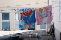 Đir po gradu, 29. rujna 2025 (36)