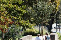 Đir po gradu, 29. rujna 2025 (37)