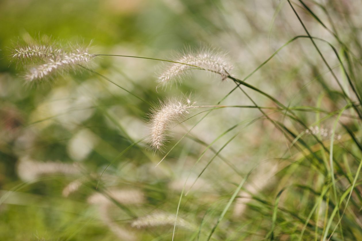 Đir po gradu, 29. rujna 2025 (38)