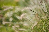 Đir po gradu, 29. rujna 2025 (38)