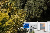 Đir po gradu, 29. rujna 2025 (42)