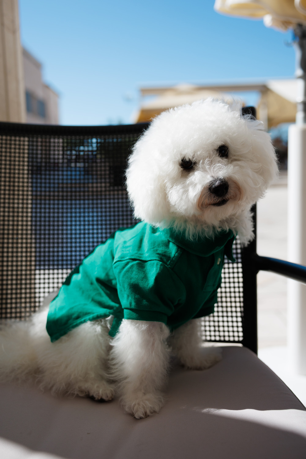 Đir po gradu, 29. rujna 2025 (50)