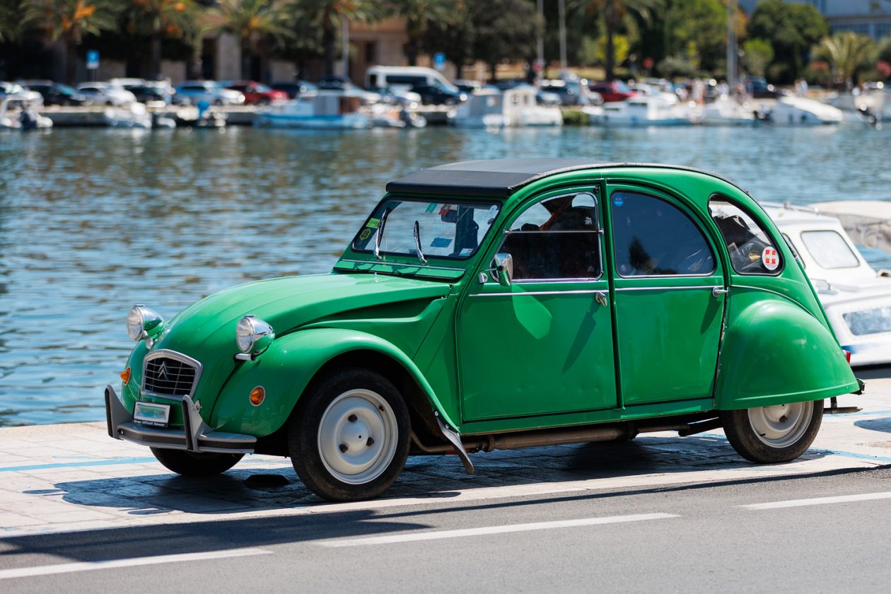 Đir po gradu, 4. kolovoza 2025 (5)