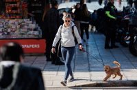 Đir po gradu, subotnja špica 17. siječnja (2)