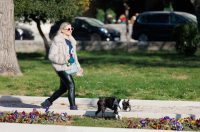 Đir po gradu, subotnja špica 17. siječnja (29)