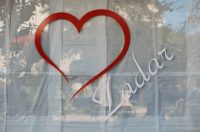 Đir po gradu, subotnja špica 17. siječnja (34)