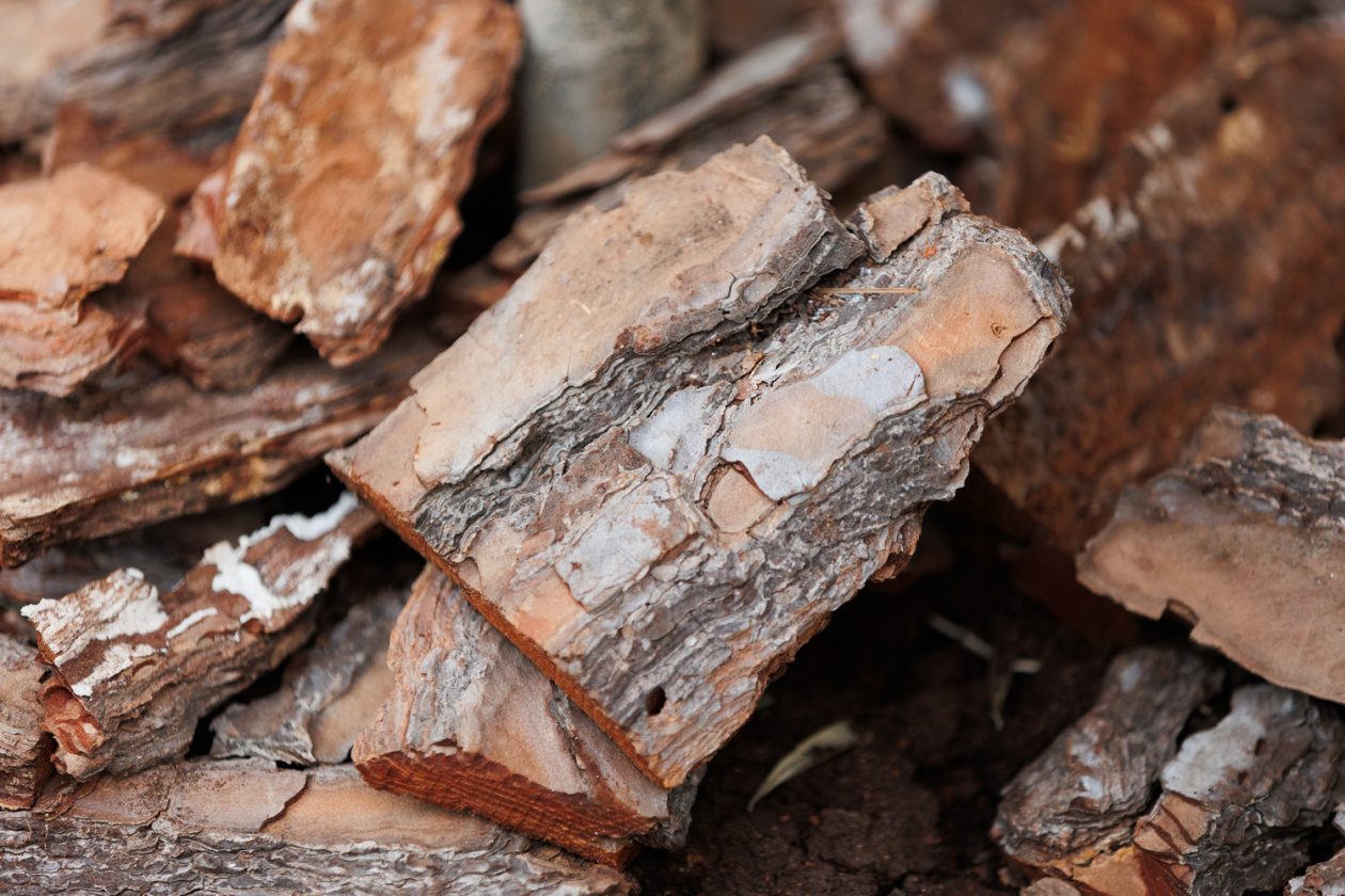 Đir po gradu, subotnja špica 24. 1 (22)