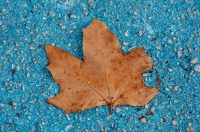 Đir po gradu, subotnja špica 3. siječnja 2026 (32)