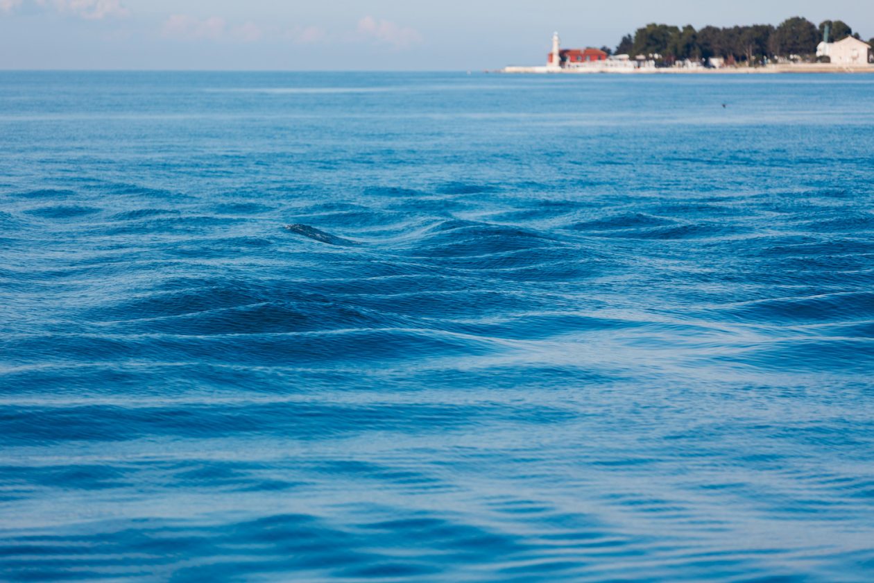 Đir po gradu, subotnja špica 31. siječnja (30)