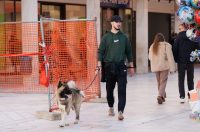 Đir po gradu, subotnja špica 31. siječnja (4)