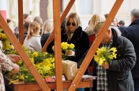 Đir po gradu, subotnja špica 7. 2. 2026 (54)