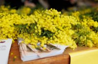 Đir po gradu, subotnja špica 7. 2. 2026 (58)