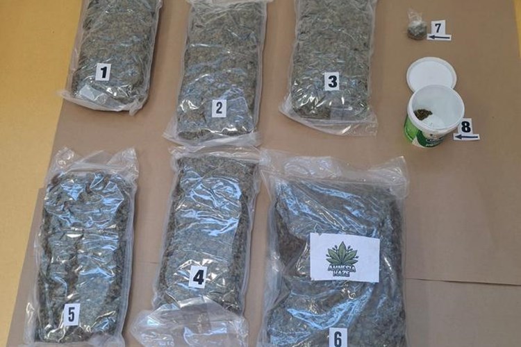 Droga hasis marihuana kokian speed