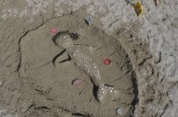 DCIM100MEDIADJI_0868.JPG DCIM100MEDIADJI_0868.JPG