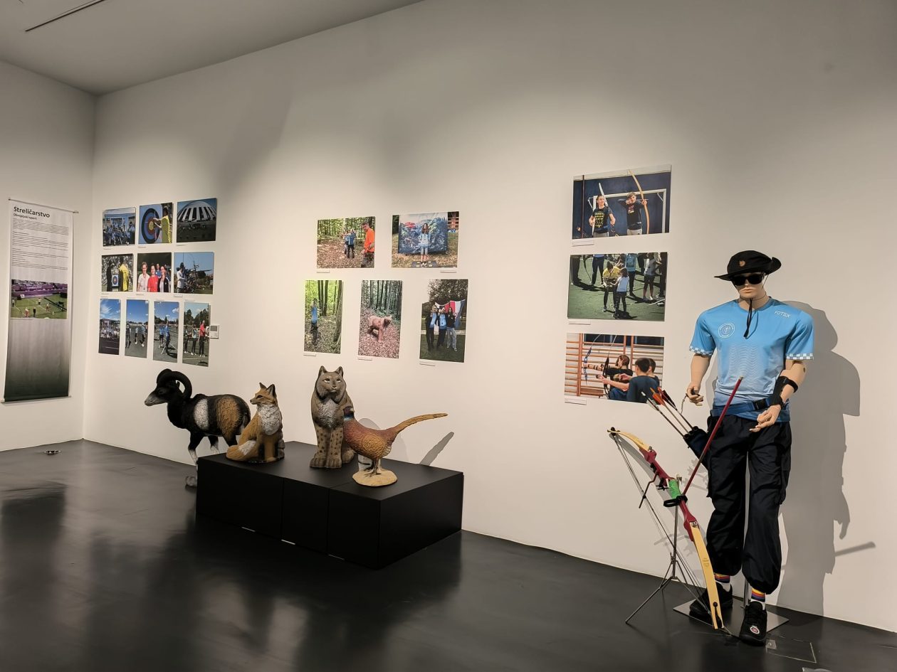 Providurova palaca, povijest strelicarstva Providurova palaca, povijest strelicarstva