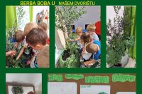 Recept sv. Jakova bob