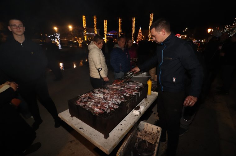 Virska lignjada Virska lignjada