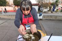 Virska fritulijada Virska fritulijada