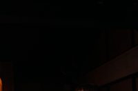 Disco fever A’mare Disco fever A’mare