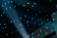 Disco fever A’mare Disco fever A’mare