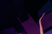 Disco fever A’mare Disco fever A’mare