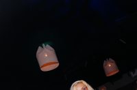 Disco fever A’mare Disco fever A’mare