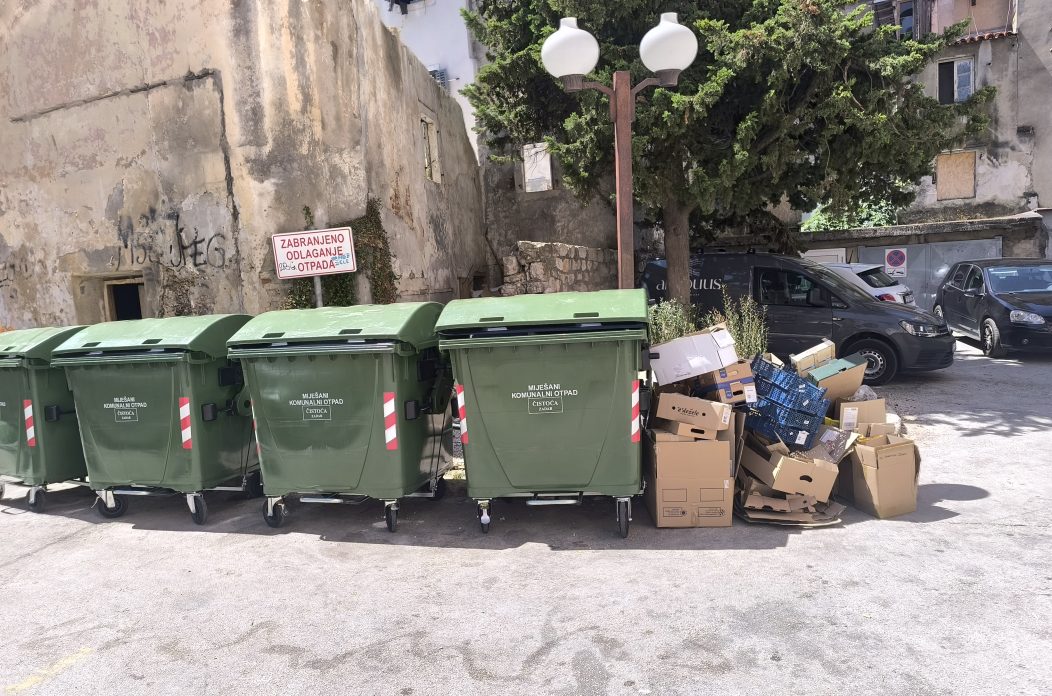 IMG_20250711_113229 (2)