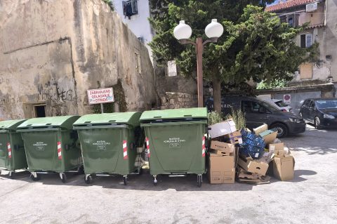 IMG_20250711_113229 (2) IMG_20250711_113229 (2)