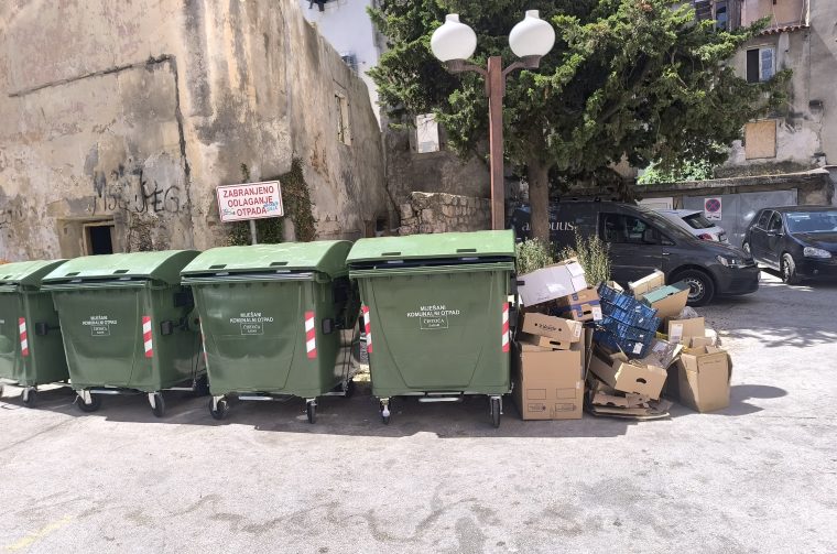 IMG_20250711_113229 (2)