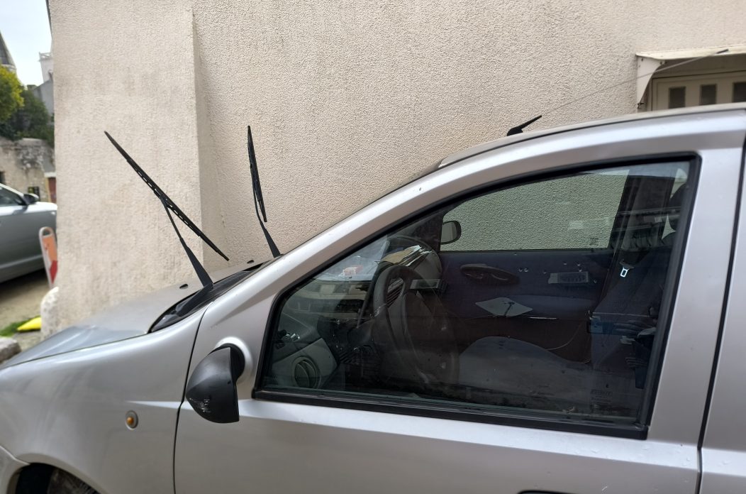 IMG_20251030_090337 IMG_20251030_090337