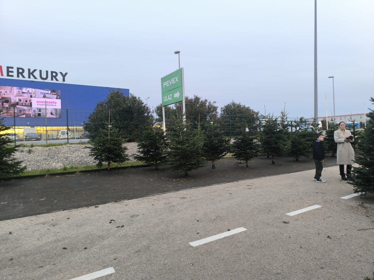 jelke, bor, borovi, bozicna drvca, bozicne jelke jelke, bor, borovi, bozicna drvca, bozicne jelke