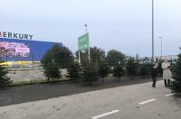 jelke, bor, borovi, bozicna drvca, bozicne jelke jelke, bor, borovi, bozicna drvca, bozicne jelke