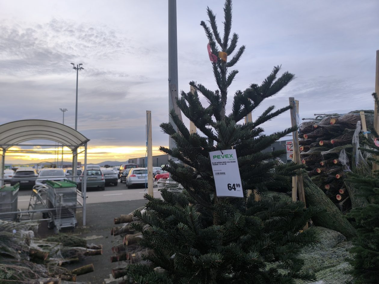 jelke, bor, borovi, bozicna drvca, bozicne jelke jelke, bor, borovi, bozicna drvca, bozicne jelke