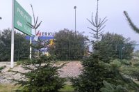 jelke, bor, borovi, bozicna drvca, bozicne jelke jelke, bor, borovi, bozicna drvca, bozicne jelke