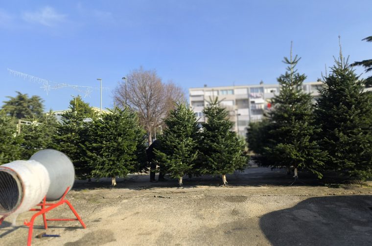 IMG_20251210_111321 IMG_20251210_111321