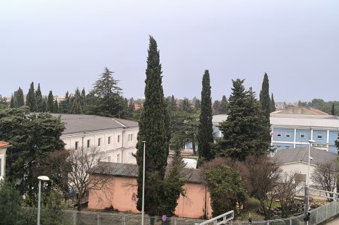 IMG_20251224_083016