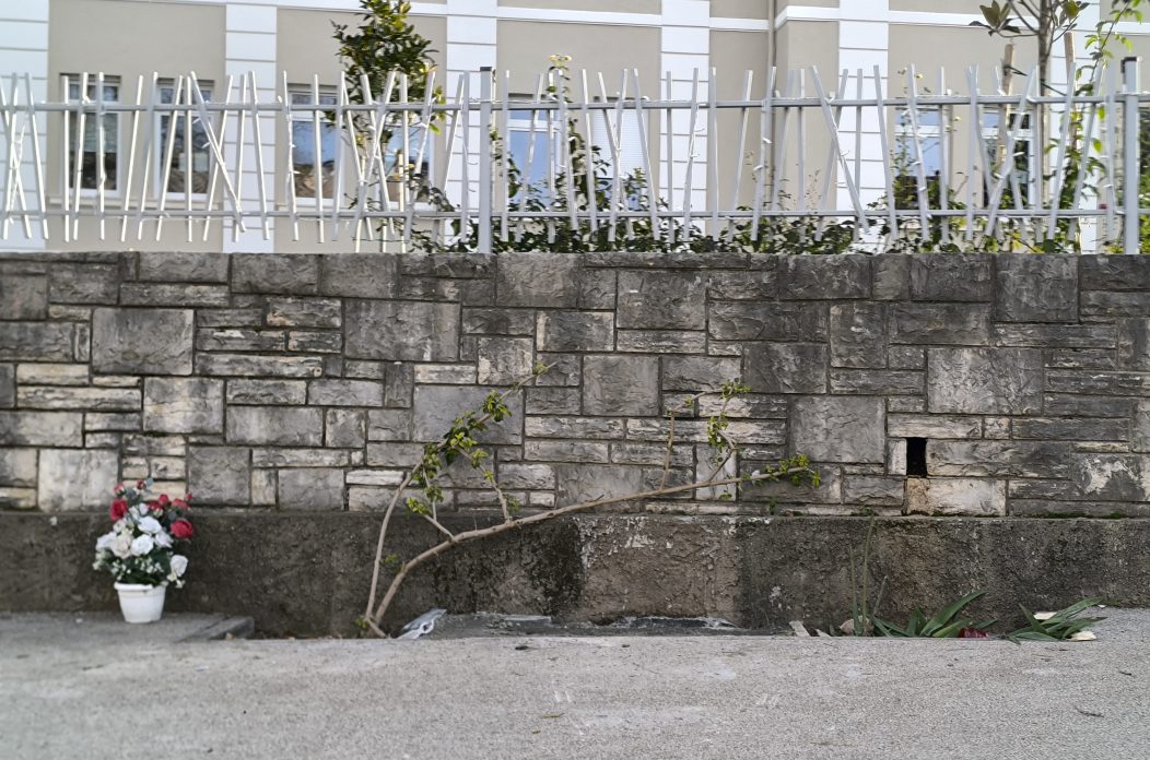 IMG_20260112_090917 IMG_20260112_090917