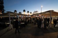 IMG_3602 IMG_3602