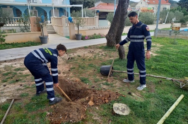 U okviru projekta Zeleni plan dosad je posađeno oko 1.500 stabala. U okviru projekta Zeleni plan dosad je posađeno oko 1.500 stabala.