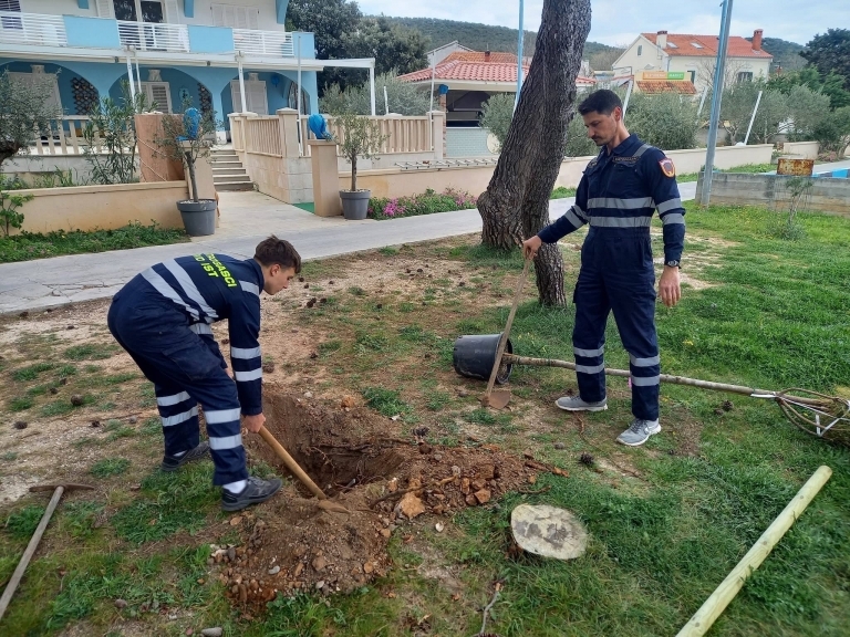 U okviru projekta Zeleni plan dosad je posađeno oko 1.500 stabala. U okviru projekta Zeleni plan dosad je posađeno oko 1.500 stabala.