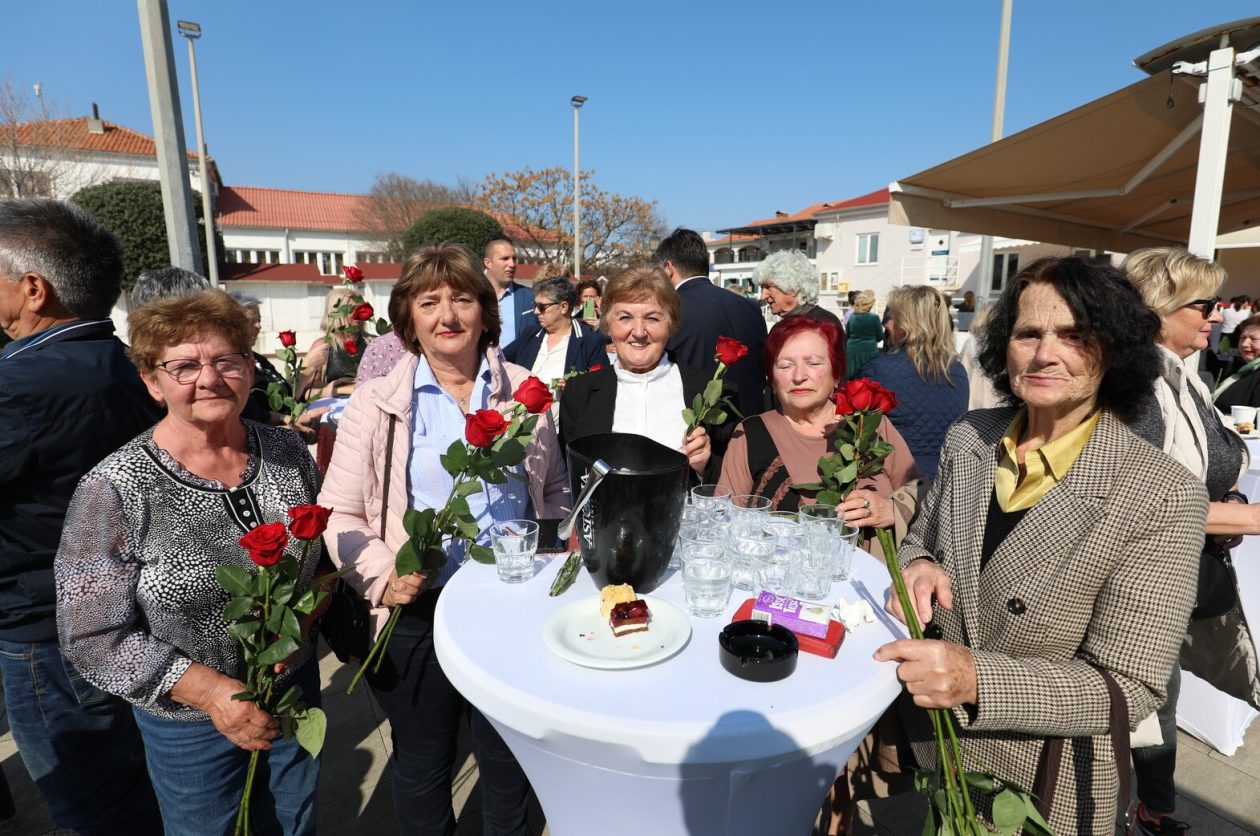 Dan zena vir