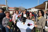 Dan zena vir
