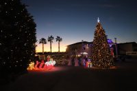 Otvoren Advent u Viru i dječje Božićno selo