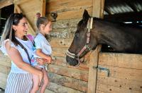 Konjički klub Zadar za Zaratiniće Konjički klub Zadar za Zaratiniće